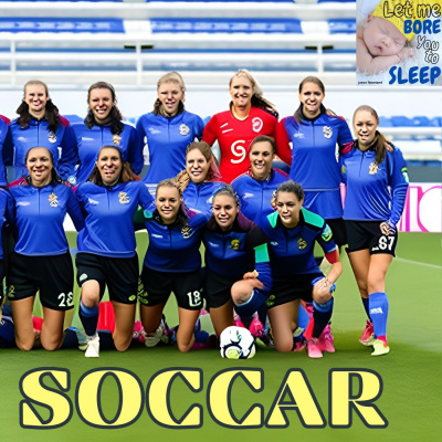 Sleep Insomnia Hypnosis