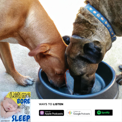 Sleep Insomnia Hypnosis