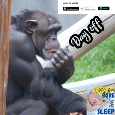 Sleep Insomnia Hypnosis