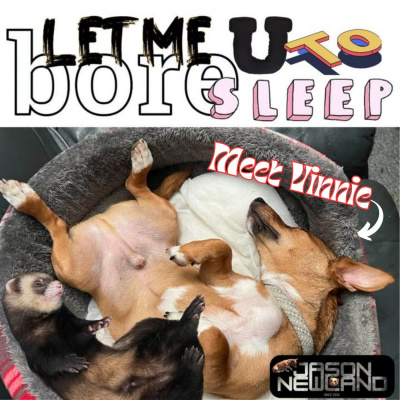 Sleep Insomnia Hypnosis