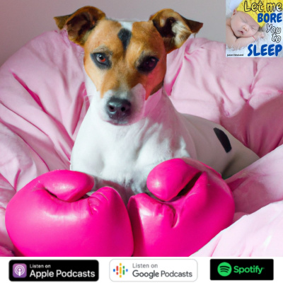 Sleep Insomnia Hypnosis