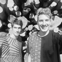 La Nave È Nella Foresta