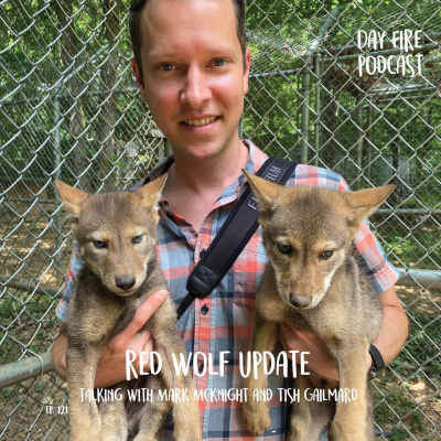 Day Fire Podcast