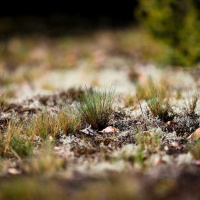 Siccità - Il punto della situazione con Daniele Cat Berro - SMI/Nimbus