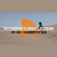 The Plundering of Africa’s Last Colony