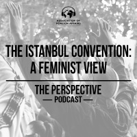 The Istanbul Convention: A Feminist View