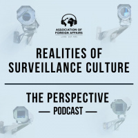Realities of Surveillance Culture