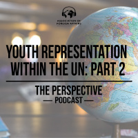 Youth Representation Within the UN: part 2