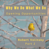 Why We Do What We Do, Part 2 - Opening Opportunities