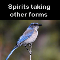 Spirits Taking Other Forms