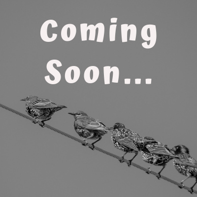 Dare To Listen, The Podcast