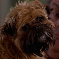 T01E05 Café Reforma