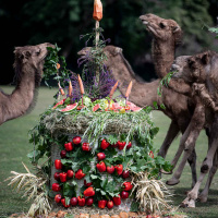 Der Tierpark wird 65 Jahre alt