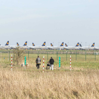 Flughafen BER – Lärmschutz für alle?