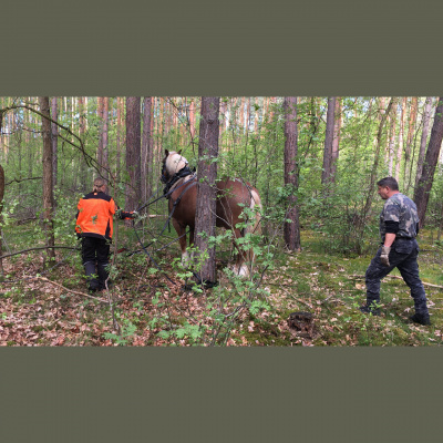 Reporter | Inforadio