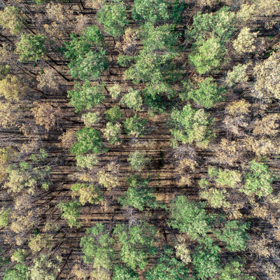 Reporter | Inforadio