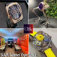 HORA LOCAL 054 – SIAR SUMMER EXPERIENCE 2