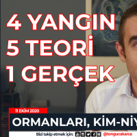 Hatayı Kim Yaktı? Osmaniye? Kahramanmaraş? Orman Yangınları Arkasında Maden Şirketleri mi Var?