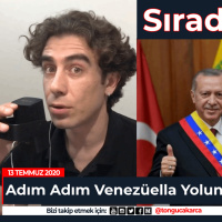 Türkiye - Venezüella Karşılaştırmasında, Sırada Ne Var?