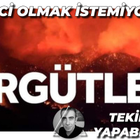 Oy Kullanmak Demokrasi Değildir! Twit Atmak Özgürlük Mü? Peki Ne Yapabiliriz? Nasıl Örgütlenelim?