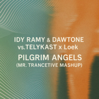 Idy Ramy  DaWTone vs. TELYKAST X Loek - Pilgrim Angels (Mr. Trancetive Mashup)