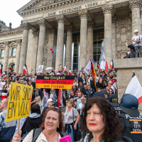 Reichsflaggen vor dem Reichstag
