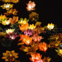 Lua Nova em Aquário 