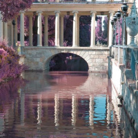 Lua Nova em Sagitário 