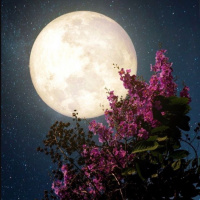 Eclipse e Lua Cheia em Capricórnio 