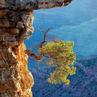 Lua Nova em Capricórnio 