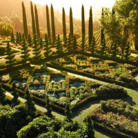 Lua Nova em Virgem17 de setembro de 2020