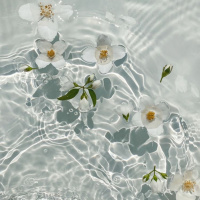 Lua Cheia em Virgem - 27 de fevereiro de 2021 