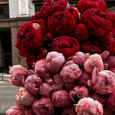 Podcasts Sobre Astrologia