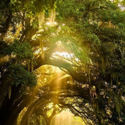 Podcasts Sobre Astrologia