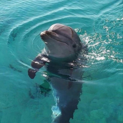 Podcasts Sobre Astrologia