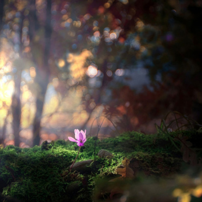 Podcasts Sobre Astrologia