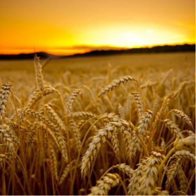 Podcasts Sobre Astrologia