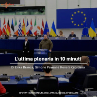 L’ultima plenaria in 10 minuti