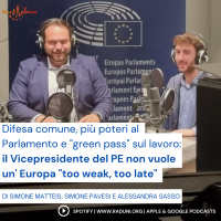 Rafforzare l’Unione Europea: la ricetta di Fabio Massimo Castaldo