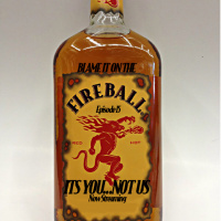 Blame it on the Fireball | Episode 15