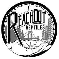 The Business Side of Things With Garrett Hartle of Reach Out Reptiles