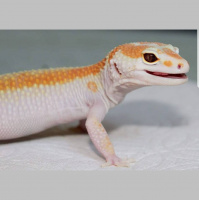 QUALITY AND GENETICS MATTER! With Sage Quiggle