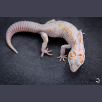 Session One: Taking Risks With Your Pairings With Chris Charlton