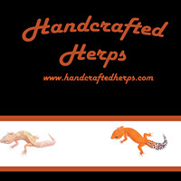 Session Twelve: The Best Leopard Gecko Enclosures On Earth!