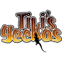 Session Six: Crested Geckos and Starting In The Reptile Business With Tikis Geckos