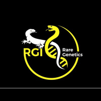 Session Ten: Reptile Genetics With Dr. Ben Morrill 