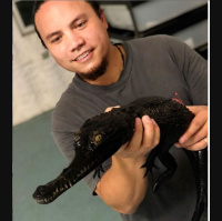 Session Eleven: The Ins and Outs of the Reptile Hobby with Brian Kusko