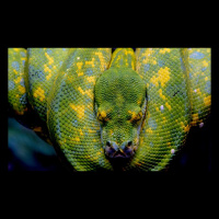 Uncovering SaSobek: Bonus Episode (IG Live)