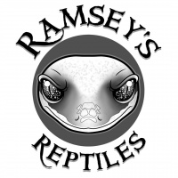 Session Four: Eublepharis Talk with Chad Ramsey of Ramseys Reptiles 