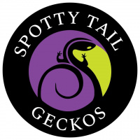 Session Three: Establishing Yourself In The Hobby With Andy Fox of Spotty Tail Geckos